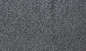 Standard Grey