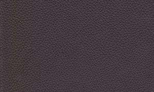 Standard Dark Brown
