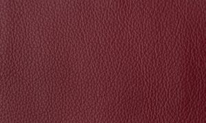 Standard Warm Red